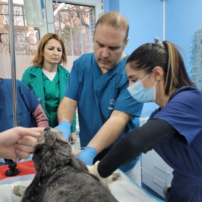 PHOTO 2023 06 06 00 07 31 11