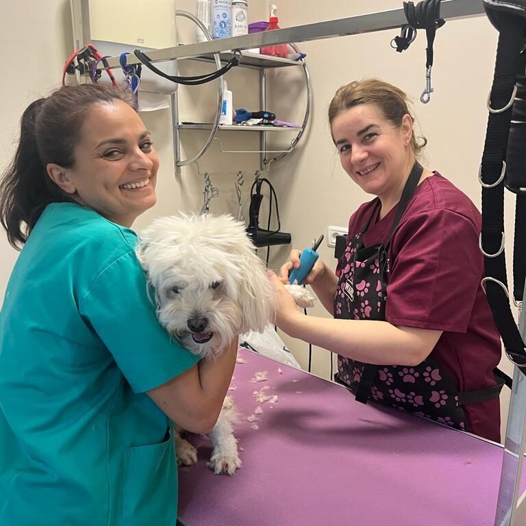 PHOTO 2023 06 06 00 09 57 14 1