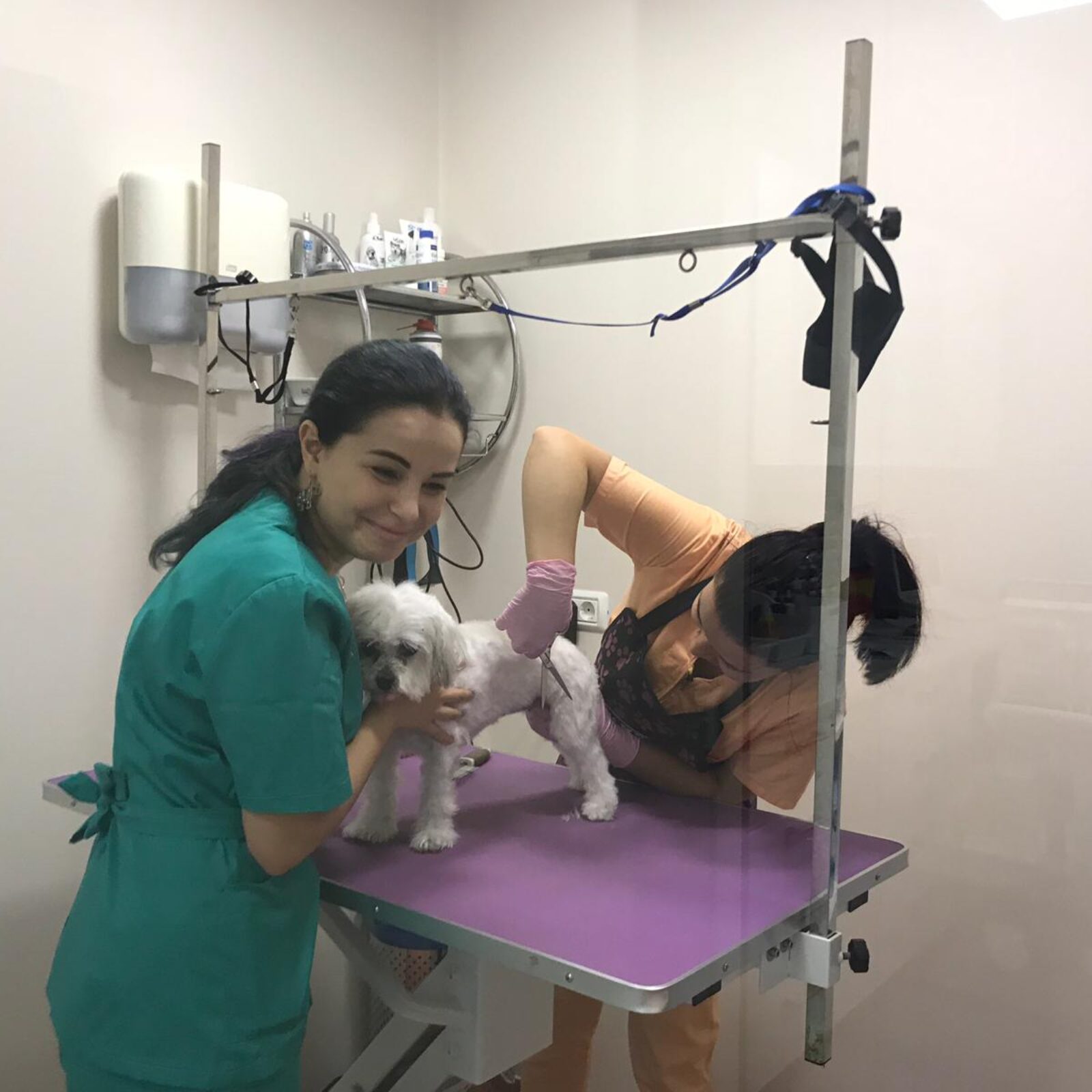 WhatsApp Image 2019 01 13 at 17.55.45 2 1