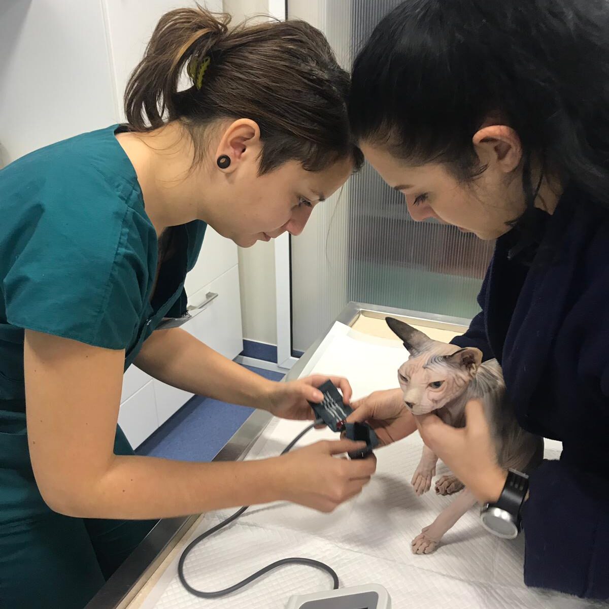 WhatsApp Image 2019 01 13 at 17.56.36