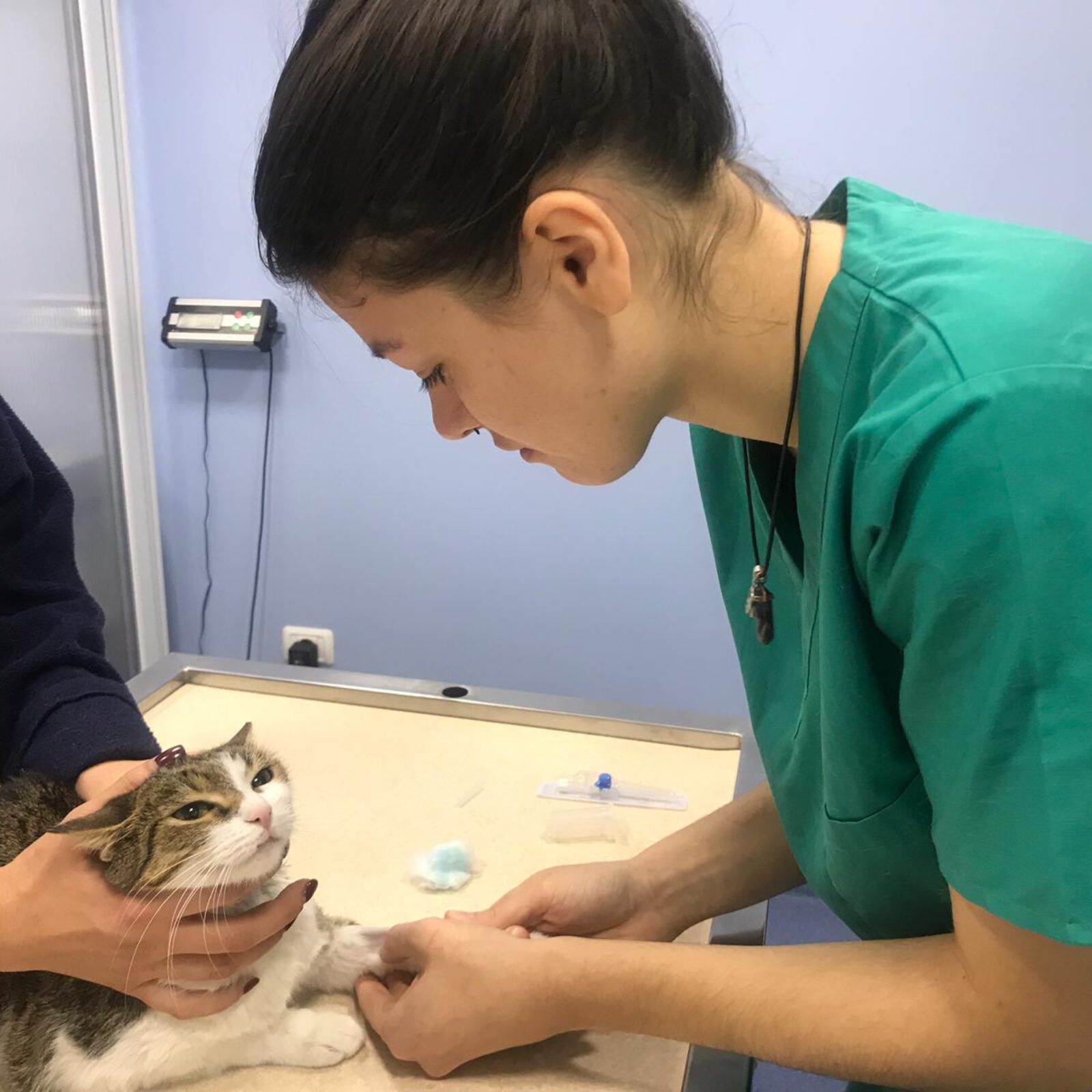 WhatsApp Image 2019 01 13 at 17.59.01