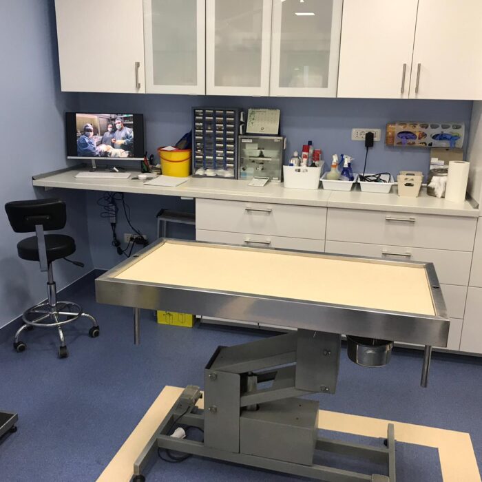 cabinet trickvet scoala de tehnicieni veterinari 1