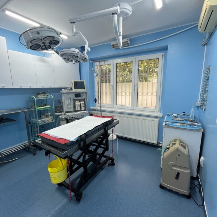 cabinet trickvet scoala de tehnicieni veterinari 4