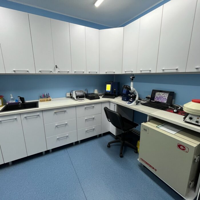 cabinet trickvet scoala de tehnicieni veterinari 5