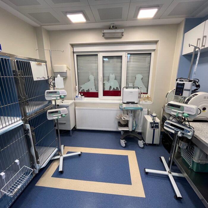 cabinet trickvet scoala de tehnicieni veterinari 6