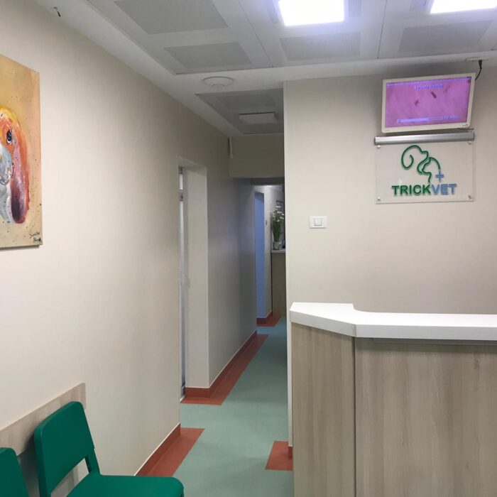 cabinet trickvet scoala de tehnicieni veterinari