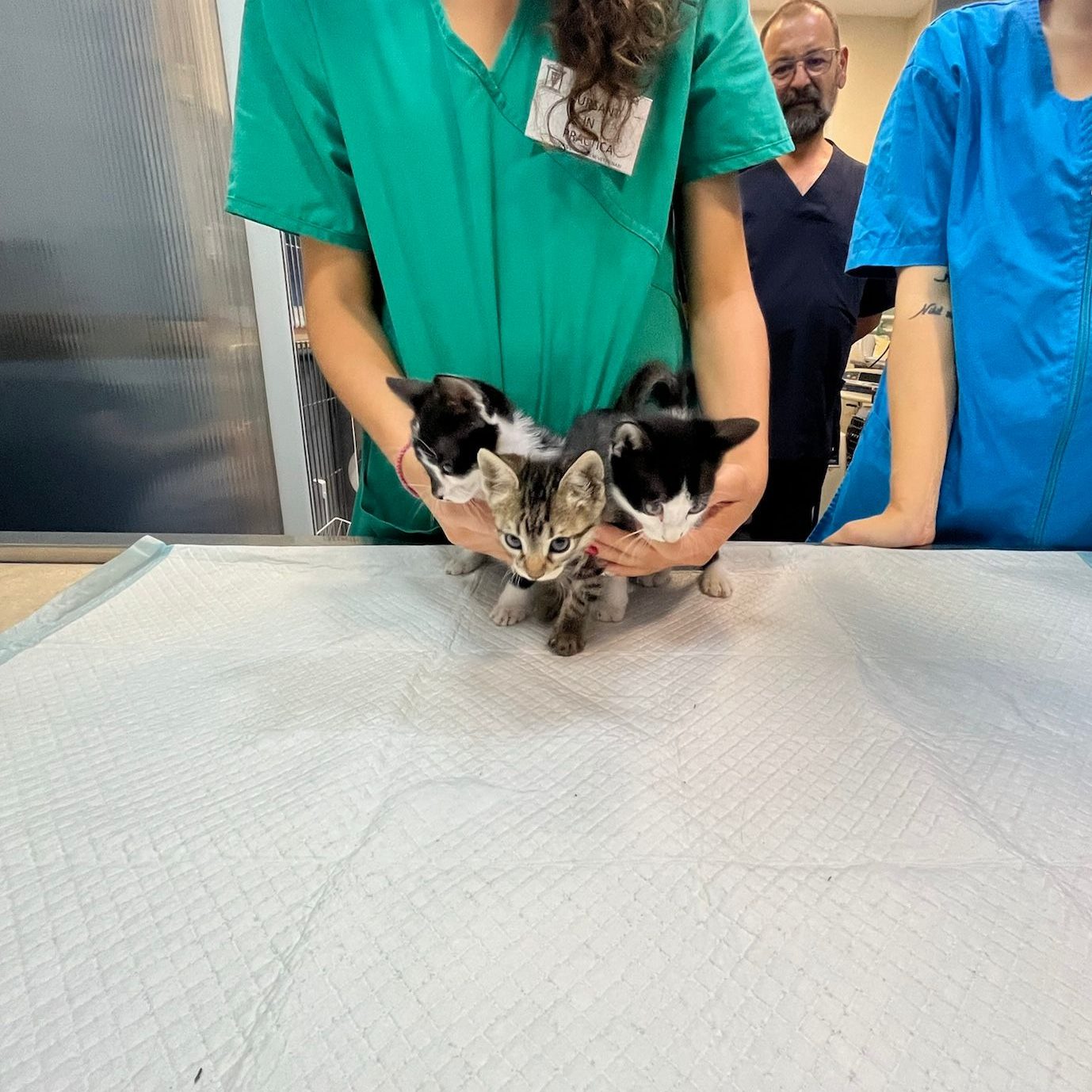 490712489 1249719093822730 2582819498366543890 n