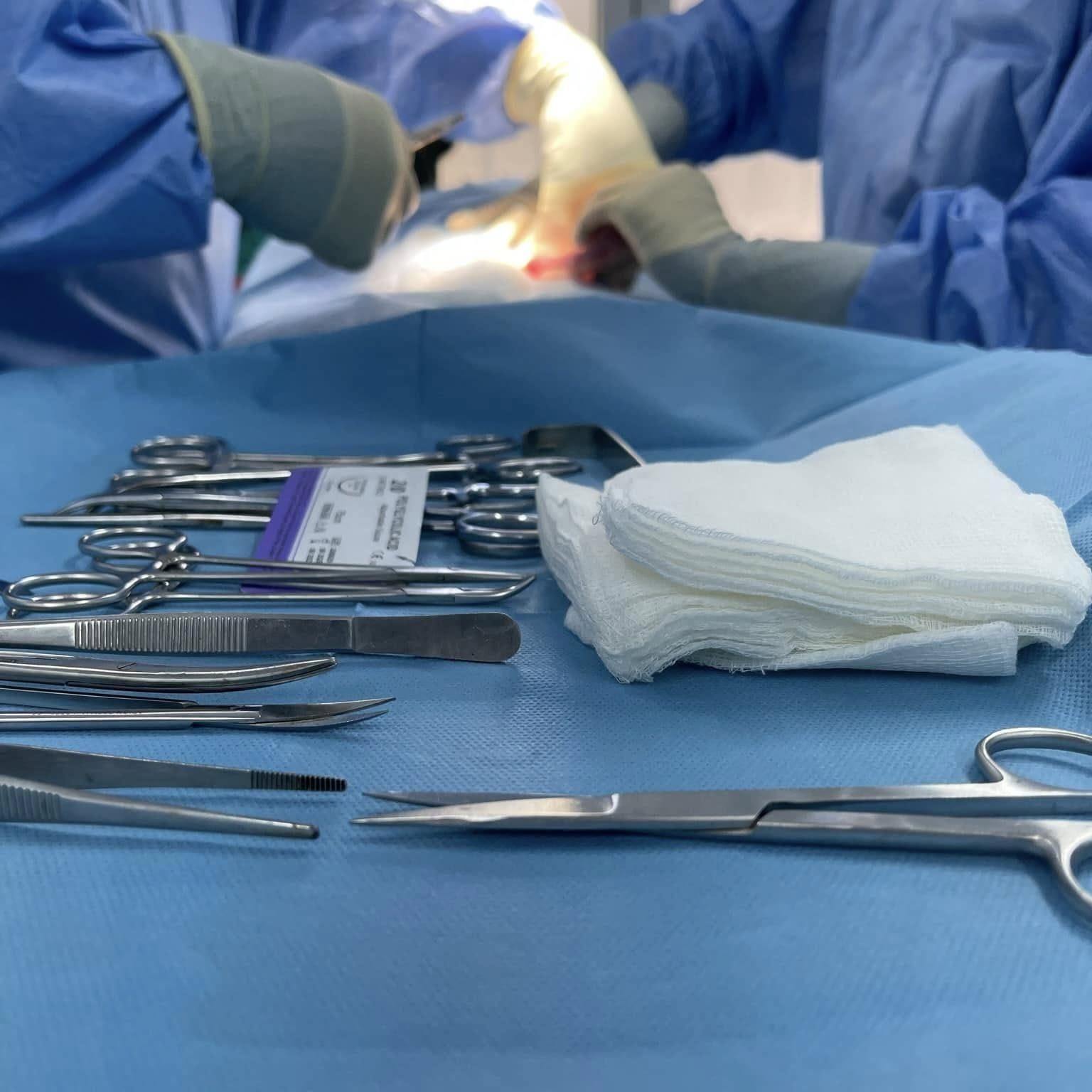 490993955 1249078180553488 800470556402379032 n