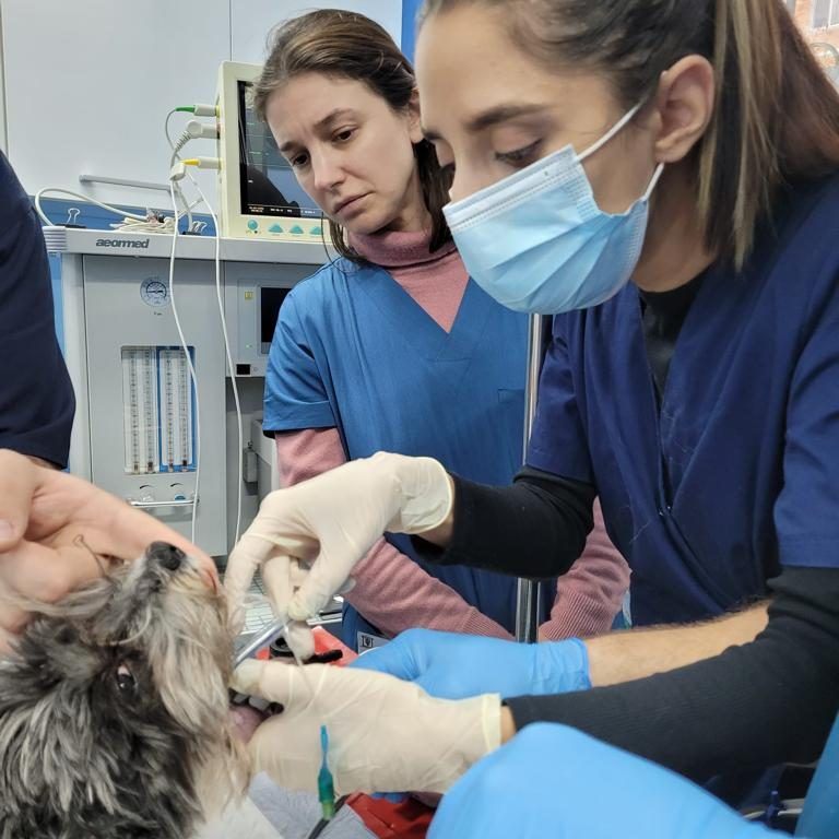 PHOTO 2023 06 06 00 07 31 19