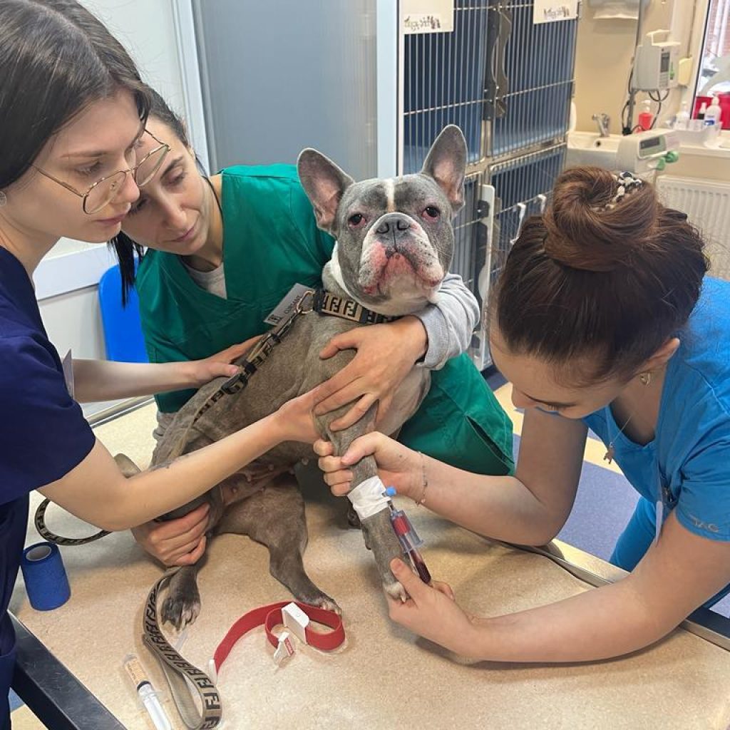 PHOTO 2023 06 06 00 09 57 13