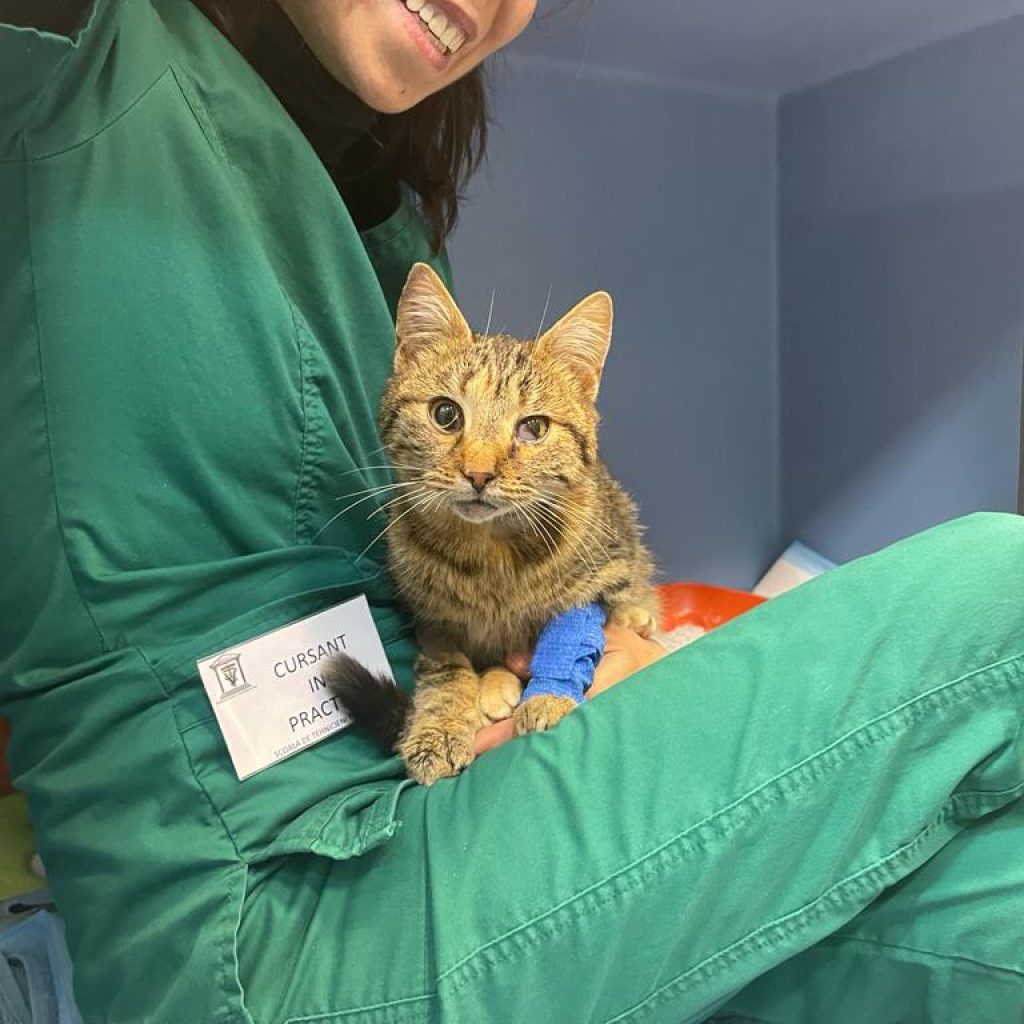 WhatsApp Image 2023 06 06 at 00.29.57