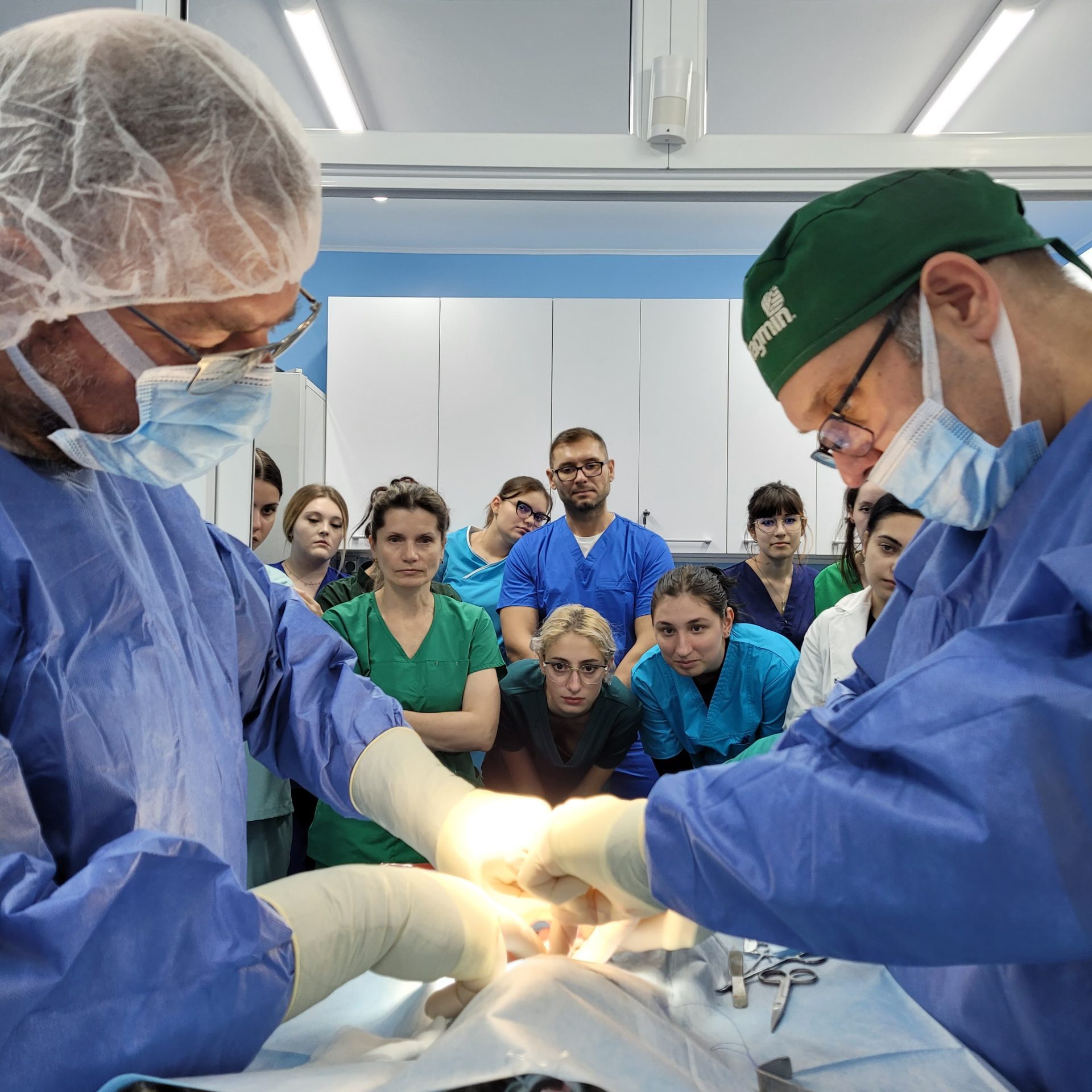 WhatsApp Image 2025 05 12 at 23.11.49 6bdcc410